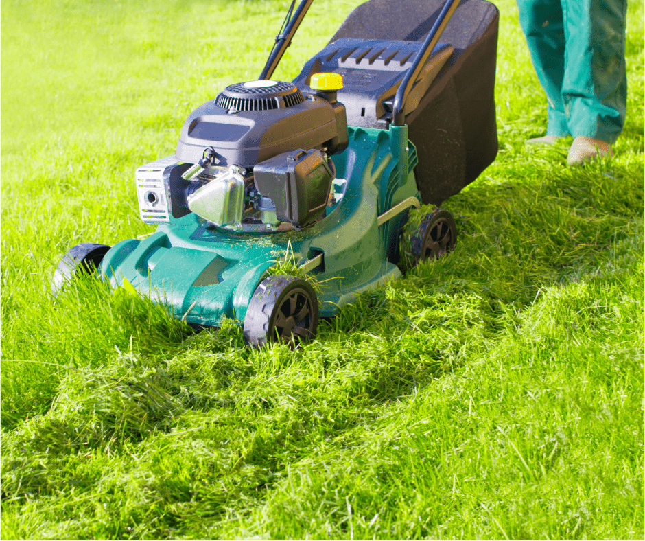 push mower